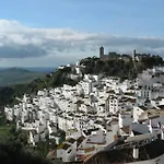 Duquesa 432 *